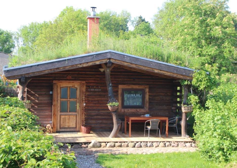 Villa Blockhaus Zahren Penzlin Esterno foto