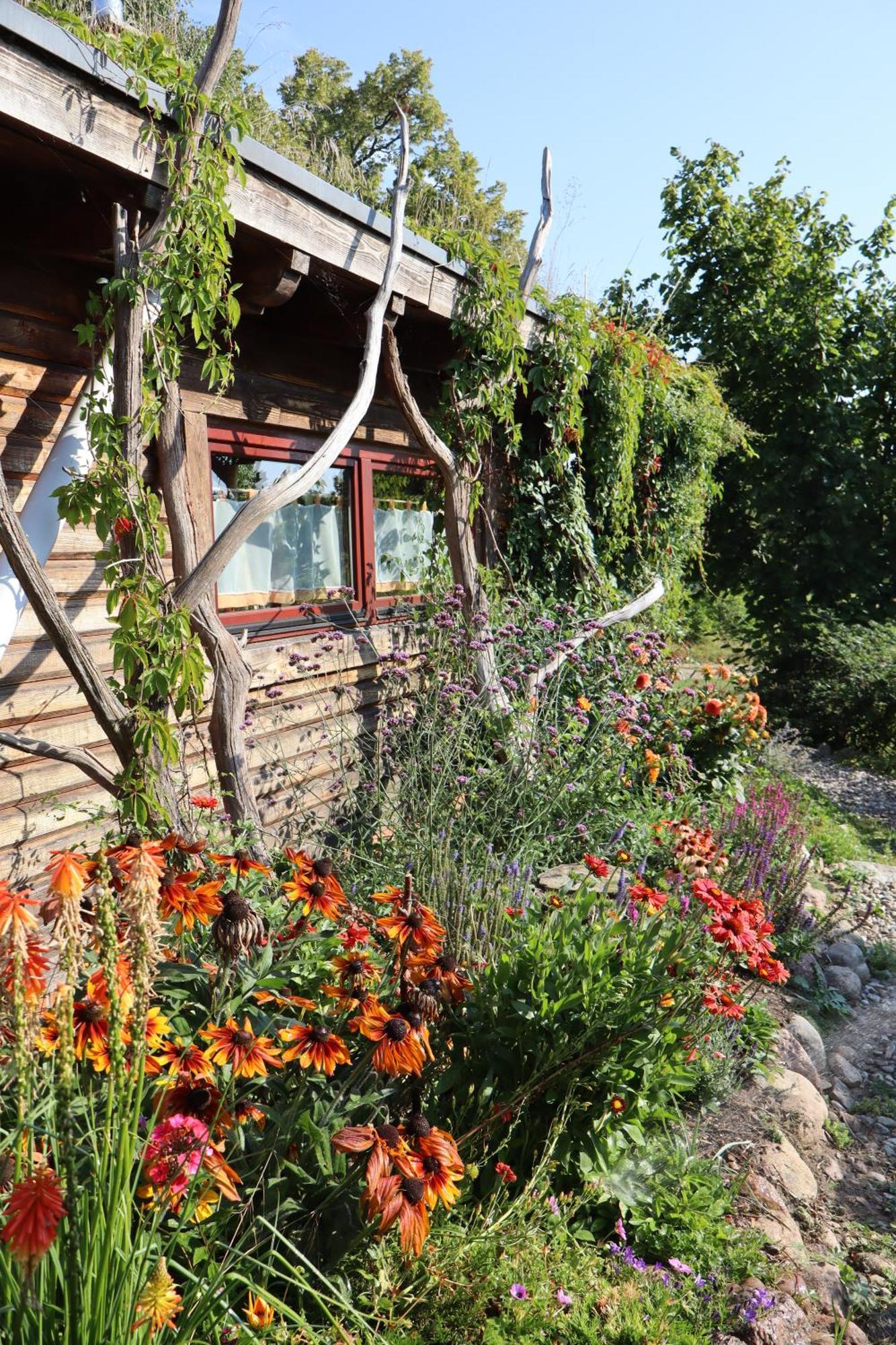 Villa Blockhaus Zahren Penzlin Esterno foto